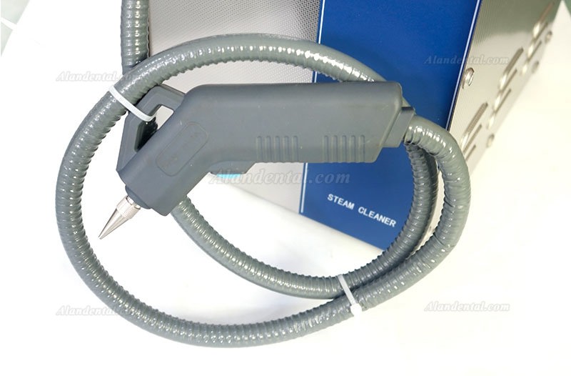 Dental High Temperature and Pressure Steam Cleaner DS300-4B 1400W